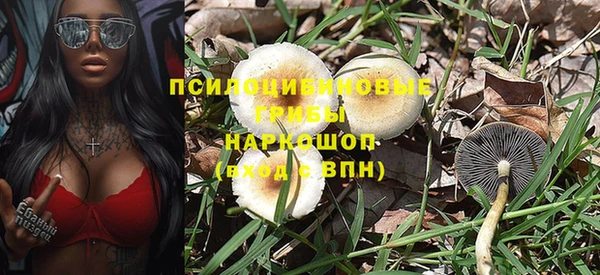 МДПВ Абаза