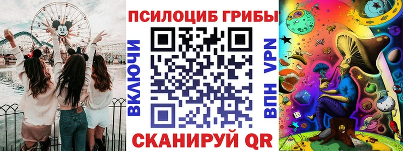 где можно купить   блэк спрут ссылка  Галлюциногенные грибы Psilocybine cubensis  Новотитаровская 